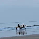 Lejlighed L'escale A Deauville