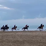 L'escale A Deauville