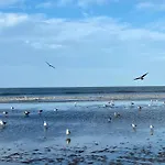 L'escale A