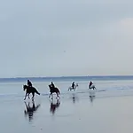 Lejlighed L'escale A Deauville