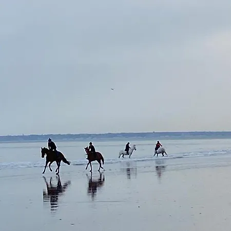 Appartamento L'escale A Deauville