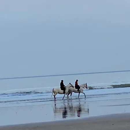 Apartmán L'escale A Deauville