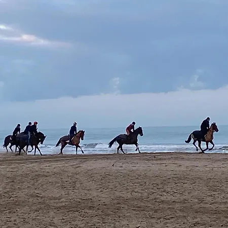 L'escale A Deauville