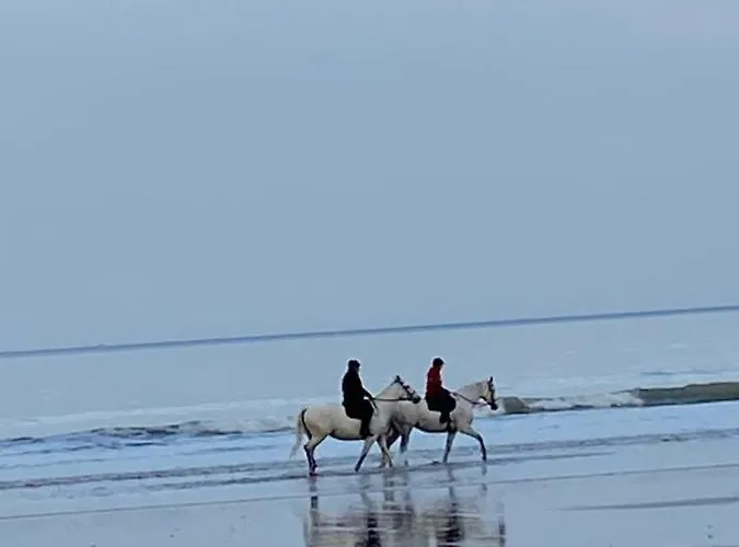 Daire L'escale A Deauville