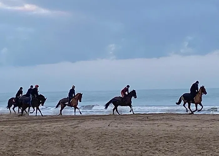 L'escale A Deauville