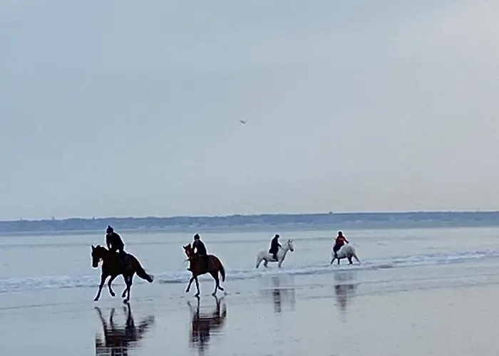 Apartment L'escale A Deauville
